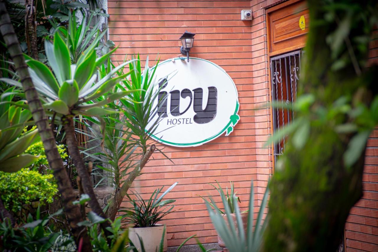 מדיין Ivy Hostel מראה חיצוני תמונה